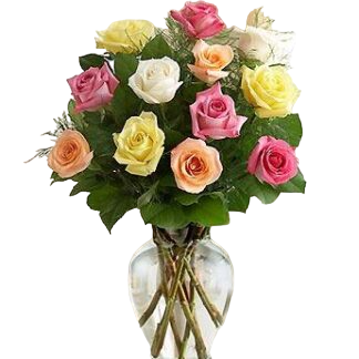 15 multi-colored roses | Flower Delivery Murmansk